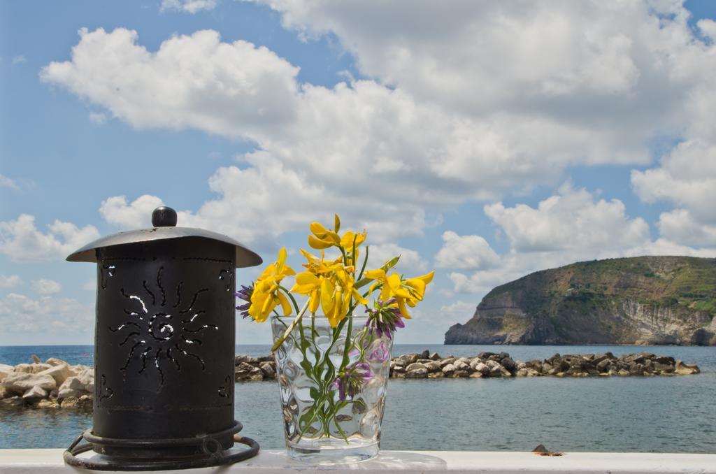 Appartamenti Le Pleiadi - Sant'Angelo D'Ischia Habitación foto